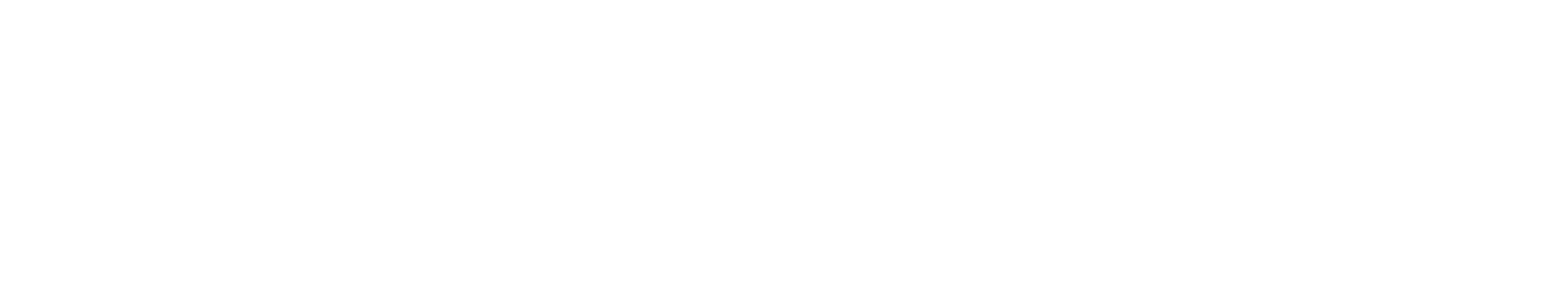 2019 Solution Partner of the Year